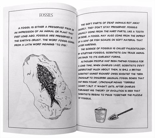 谁是查尔斯达尔文 英文原版人物传记 Who Was Charles Darwin 中小学生英语课外阅读读物 英文版章节桥梁书 商品图1