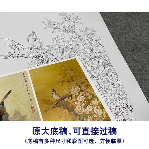 【四条屏】周中耀工笔画白描底稿梅花菊花临摹勾线花鸟线稿TP31 商品图1