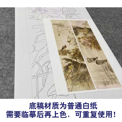 【四条屏】工笔画白描底稿荷花临摹勾线花鸟线稿TP08 商品图3