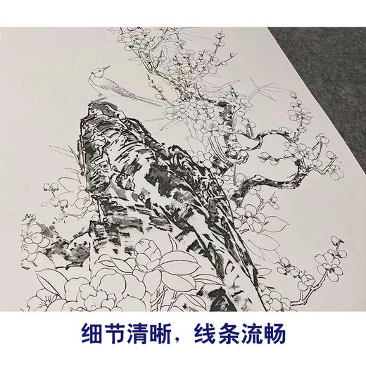 【四条屏】王庆升工笔画白描底稿《百花竞艳》牡丹荷花临摹勾线花鸟线稿TP35 商品图4