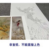 【四条屏】龚雪青工笔画白描底稿荷花鲤鱼图临摹勾线花鸟线稿XQ69 商品缩略图2