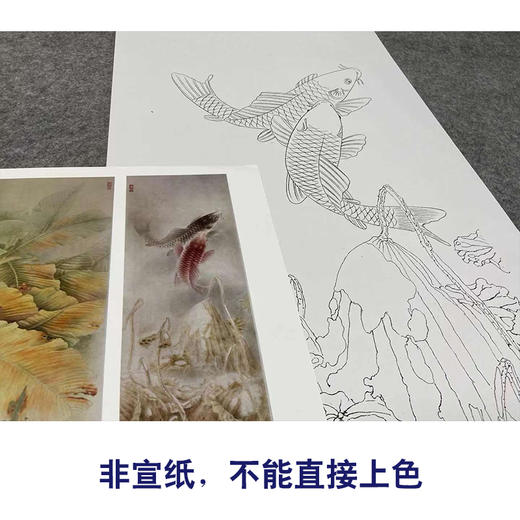 【四条屏】龚雪青工笔画白描底稿荷花鲤鱼图临摹勾线花鸟线稿XQ69 商品图2