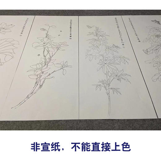 【四条屏】于非闇工笔画白描底稿《四季花鸟图》荷花牡丹临摹勾线花鸟线稿YF90 商品图2