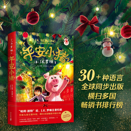 平安小猪 商品图2