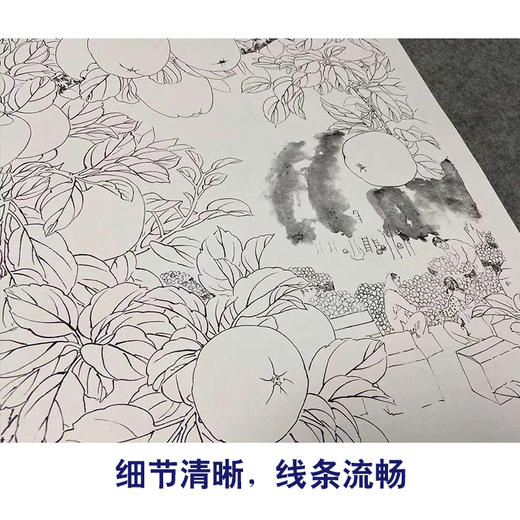 【四条屏】王庆升工笔画白描底稿《硕果满园》葡萄临摹勾线花鸟线稿TP37 商品图4
