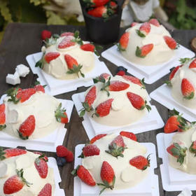 草莓炸弹 -4寸/6寸/8寸草莓季限定 一鲜奶动物奶油蛋糕