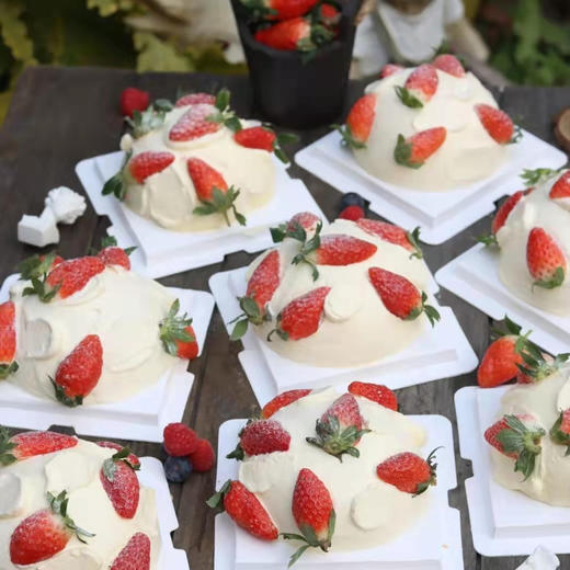 草莓炸弹 -4寸/6寸/8寸草莓季限定 一鲜奶动物奶油蛋糕 商品图0