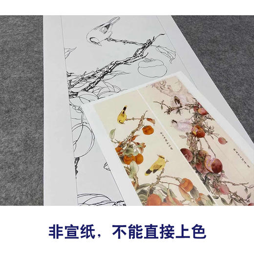 【四条屏】工笔画白描底稿柿子桃枝临摹勾线花鸟线稿TP16 商品图2