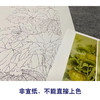 【四条屏】龚雪青工笔画白描底稿南瓜临摹勾线高清打印稿XQ70 商品缩略图2