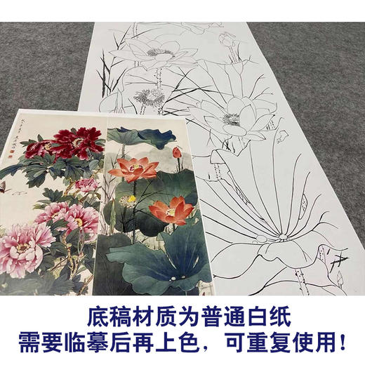 【四条屏】王庆升工笔画白描底稿《四季花卉图》荷花牡丹临摹花鸟线稿TP38 商品图3