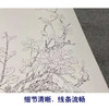 【四条屏】周中耀工笔画白描底稿梅花菊花临摹勾线花鸟线稿TP31 商品缩略图4