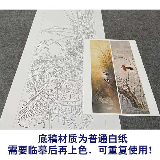 【四条屏】工笔画白描底稿荷花苍鹭临摹勾线花鸟线稿TP06 商品图3