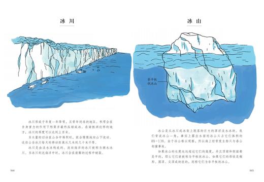 海洋解剖笔记 美国鹦鹉螺图书大奖金奖获得者畅销科普。寻找海洋奇景，体会博物之美，带着孩子“海里浪”（中小学生科普读物） 商品图1