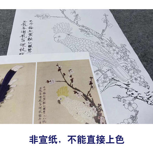 【四条屏】于非闇工笔画白描底稿《长春有喜》荷花梅花临摹勾线花鸟线稿YF89 商品图2