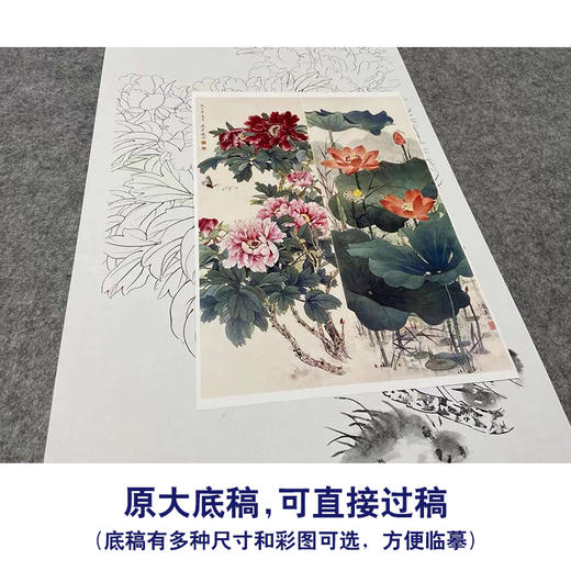 【四条屏】王庆升工笔画白描底稿《四季花卉图》荷花牡丹临摹花鸟线稿TP38 商品图1