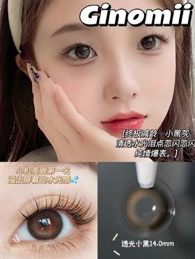 GINOMII 透光小黑 半年抛 2片 14.0mm  着色13.0mm 基弧8.6 含水38% 韩国进口