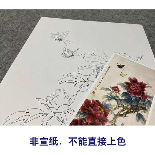 【四条屏】王少卿工笔画白描底稿牡丹蝴蝶临摹勾线花鸟线稿WK18 商品图2