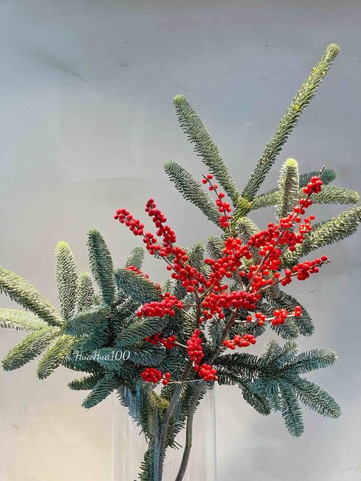 圣诞礼丨冬青果诺贝松瓶插花 商品图1