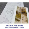 【四条屏】工笔画白描底稿荷花临摹勾线花鸟线稿TP08 商品缩略图1