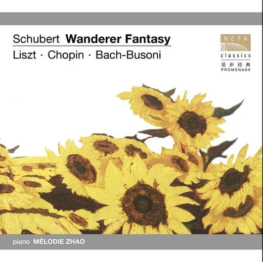 浪漫主义钢琴作品精选-赵梅笛 1CD 商品图0