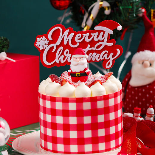 【 49元抢原价59元】4英寸圣雪莓莓 商品图0