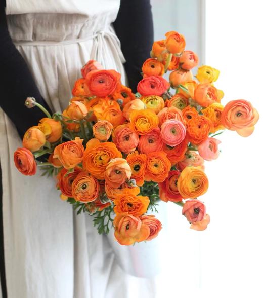 【周四秒杀】洋牡丹一把49.8元 商品图0