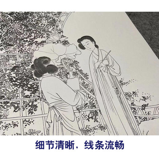 【四条屏】陈少梅工笔传统仕女人物画白描底稿临摹勾线高清打印稿TP39 商品图4