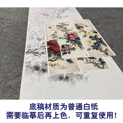 【四条屏】王少卿工笔画白描底稿牡丹蝴蝶临摹勾线花鸟线稿WK18 商品图3
