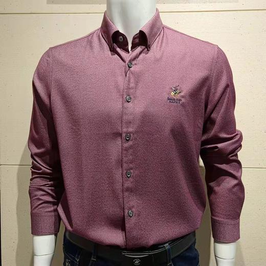6F BEVERLY HILLS POLO CLUB 比华利保罗衬衫 商品图0