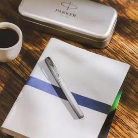 6F  PARKER  派克威雅欧若拉陨石灰墨水笔