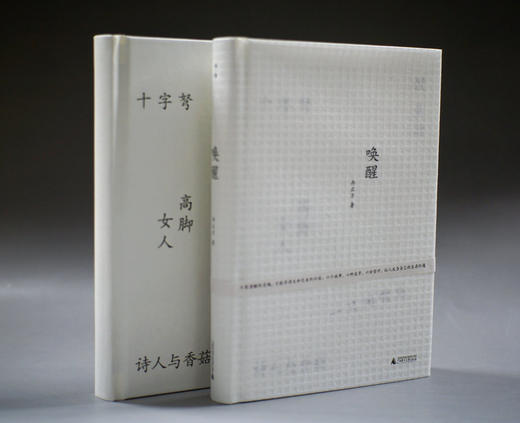 【“云端书展”专区】唤醒     冉正万  著      商品图2