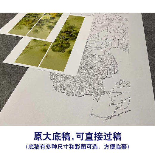 【四条屏】龚雪青工笔画白描底稿南瓜临摹勾线高清打印稿XQ70 商品图1