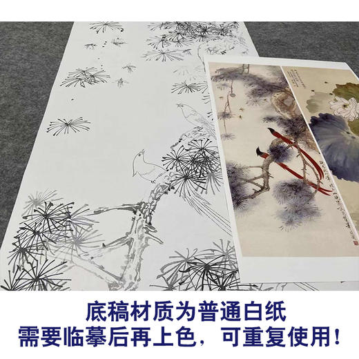 【四条屏】于非闇工笔画白描底稿《长春有喜》荷花梅花临摹勾线花鸟线稿YF89 商品图3