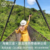 海南三亚·亚龙湾热带天堂森林公园一日游(纯玩2人精致小团+专属司导+一龄接送） 商品缩略图1