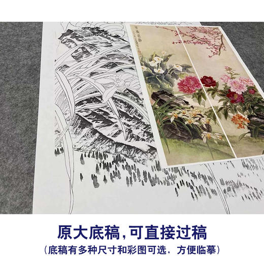 【四条屏】金鸿钧工笔画白描稿花鸟《花香永存》牡丹梅花临摹勾线花鸟线稿TP34 商品图1