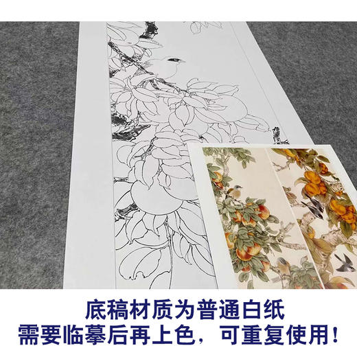 【四条屏】工笔画白描底稿石榴葡萄临摹勾线花鸟线稿TP15 商品图3