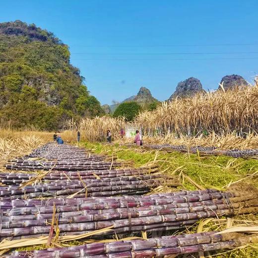 【吉顺号食品】云南老土红糖 甘蔗熬制红糖块2400g礼盒 包邮 商品图1