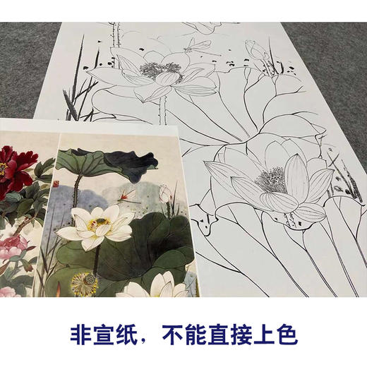 【四条屏】王庆升工笔画白描底稿《百花竞艳》牡丹荷花临摹勾线花鸟线稿TP35 商品图2