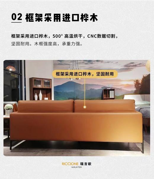 瑞吉欧意式沙发头层黄牛皮沙发，WN23803，意式家具 商品图1