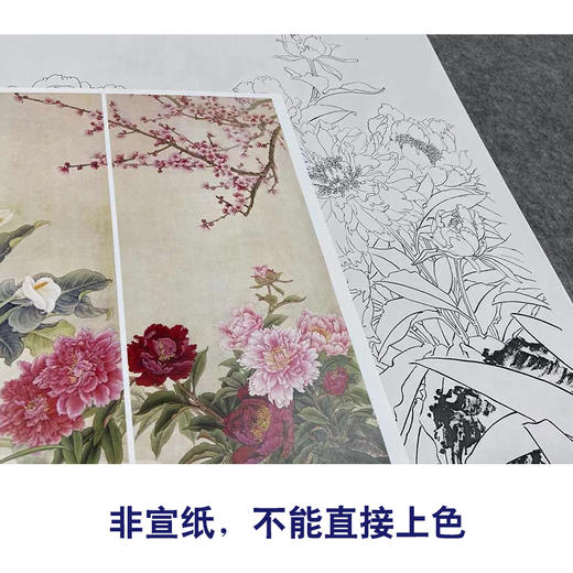 【四条屏】金鸿钧工笔画白描稿花鸟《花香永存》牡丹梅花临摹勾线花鸟线稿TP34 商品图2