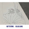 【四条屏】工笔画白描底稿荷花苍鹭临摹勾线花鸟线稿TP06 商品缩略图4
