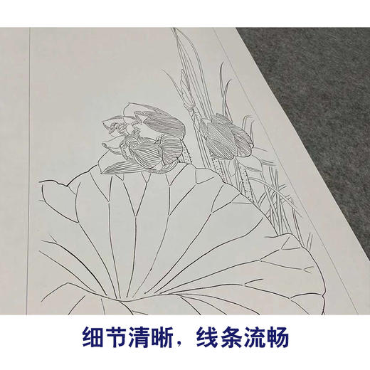 【四条屏】工笔画白描底稿荷花苍鹭临摹勾线花鸟线稿TP06 商品图4