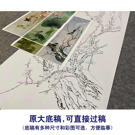 【四条屏】周中耀工笔画白描稿《春夏秋冬》荷花牡丹临摹勾线花鸟线稿TP30 商品图1