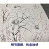 【四条屏】王庆升工笔画白描底稿《四季花卉图》荷花牡丹临摹花鸟线稿TP38 商品缩略图4