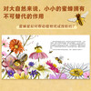 【直播专享·3岁+】德国环保科普绘本（小蜜蜂+小海豹）（共2册） 商品缩略图4