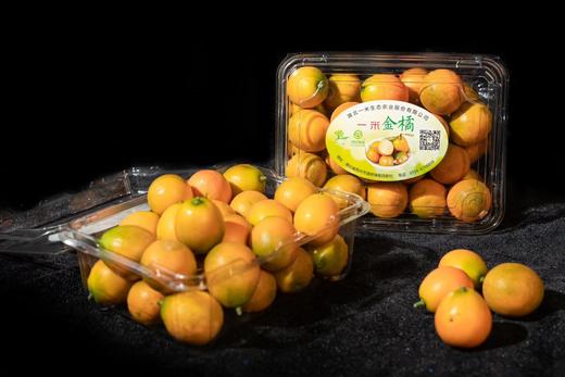 【严选】一米金橘415g/盒（厂家直发） 商品图5