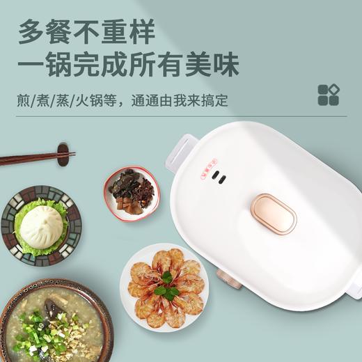 艾贝丽 | 多功能电蒸锅ABL-DZG01小家电 商品图2