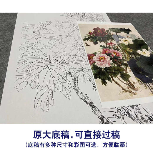 【四条屏】王庆升工笔画白描底稿《百花竞艳》牡丹荷花临摹勾线花鸟线稿TP35 商品图1