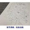【四条屏】龚雪青工笔画白描底稿《富贵有余》鲤鱼临摹勾线花鸟线稿XQ71 商品缩略图4