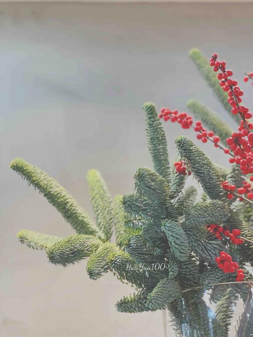 圣诞礼丨冬青果诺贝松瓶插花 商品图3